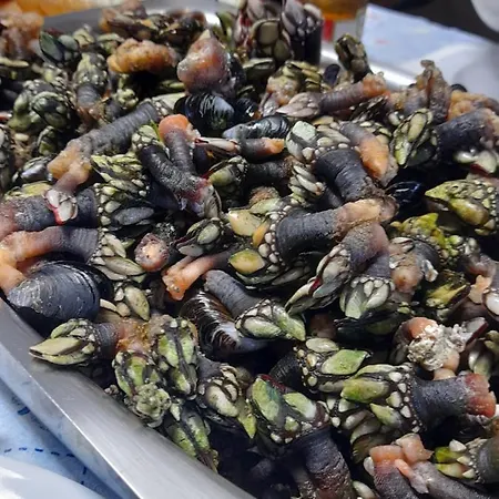 Casa Mestre Πανσιόν Vila do Bispo